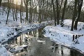 Urdenbacher Altrhein im Winter