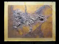 Urpferd mit Fötus aus der Grube Messel