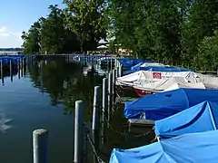 Schiffssteg in Niederuster am Greifensee