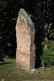 Runenstein Vg 11