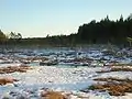 Frühjahr im Florarnas naturreservat