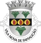 Wappen von Vila Nova de Famalicão