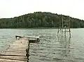 Vajuonissee