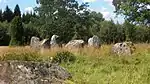 Domarring