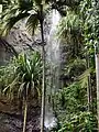 Wasserfall im Vallée de Mai