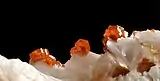 Orangerote Vanadinitkristalle mit dunkelrotem Zentrum auf farblosem Baryt aus Mibladen (Bildbreite ca. 10 mm)