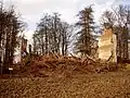 Ruinen des Gutshauses von Vara