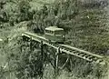 Vauxhall-Schienenbus (Baujahr 1938) auf der Trestle-Brücke, 1963