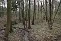 Nettezufluss in Vehrte