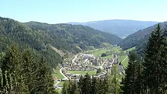 Das Veitschtal mit dem Dorf Veitsch Richtung Mürztal
