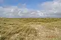 Übergang von Heide in Dünenlandschaft bei Vejers