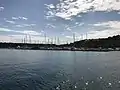 Marina von Veli Rat