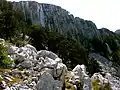 Kalkschichten am Velje leto