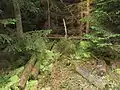 Holzbruch