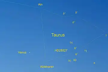 Die Hyaden mit dem Stern Aldebaran und dem Planeten Venus im Kopf des Stieres des Sternbilds Stier (Taurus) in der Morgendämmerung über dem östlichen Horizont mit allen Sternen mit einer scheinbaren Helligkeit bis zur fünften Größenklasse.
