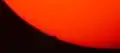 7:31 Uhr: Venus berührt die Sonnenscheibe