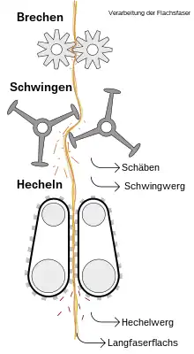 Moderne Verarbeitung der Flachsfaser schematisch: Brechen, Schwingen, Hecheln