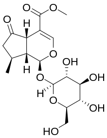 Strukturformel von Verbenalin