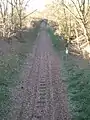 Verbindungsgleis