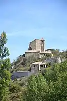 Burgruine mit Donjon