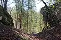 Blick nach Westen auf den Halsgraben.