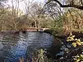 Auslauf des Hurlebachs aus dem Vienenburger See