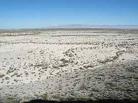 Wüstenlandschaft bei Viesca