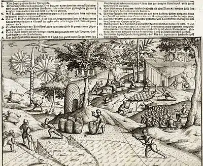 Zeichnung aus dem Jahr 1601 mit zwei Mauritius-Arten links