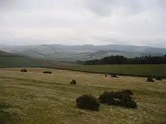 Blick auf die Südwestflanke der Moorfoot Hills