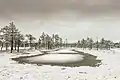 Viru bog im Winter