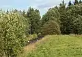 Moldau im Borová Lada