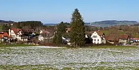 Vogelsang, grösste Siedlung von Tannegg
