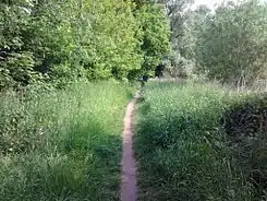 Volkspark Malchower See