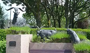Bok met twee geiten