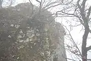 Mauerreste der vorderen Erlinsburg