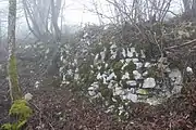 NO Mauerreste der vorderen Erlinsburg