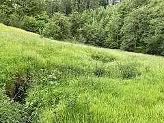 Vormwalder Bach – linker Zulauf zum Wiebach