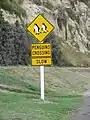 Vorsicht Pinguine!