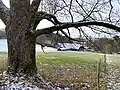Hof Voswinkel in der Quellmulde des Ibachs