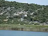 Karst- und Ufervegetation am See