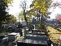 Blick über den Cimetière de Belleville