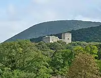 Burgruine