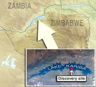 Discovery site (Simbabwe)