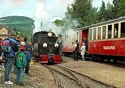 Vulkan-Express in Niederzissen