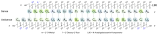 Vutrisiran