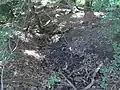 Abfluss in einen eigenen Graben am Weg