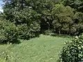 Wiese bei der Mündung in Wiesbach (hinten)