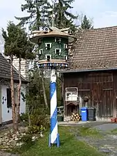 Taubenkobel