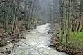 Im Fürstensteiner Grund