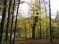 Die Posteiche am Weg nach Frauensee